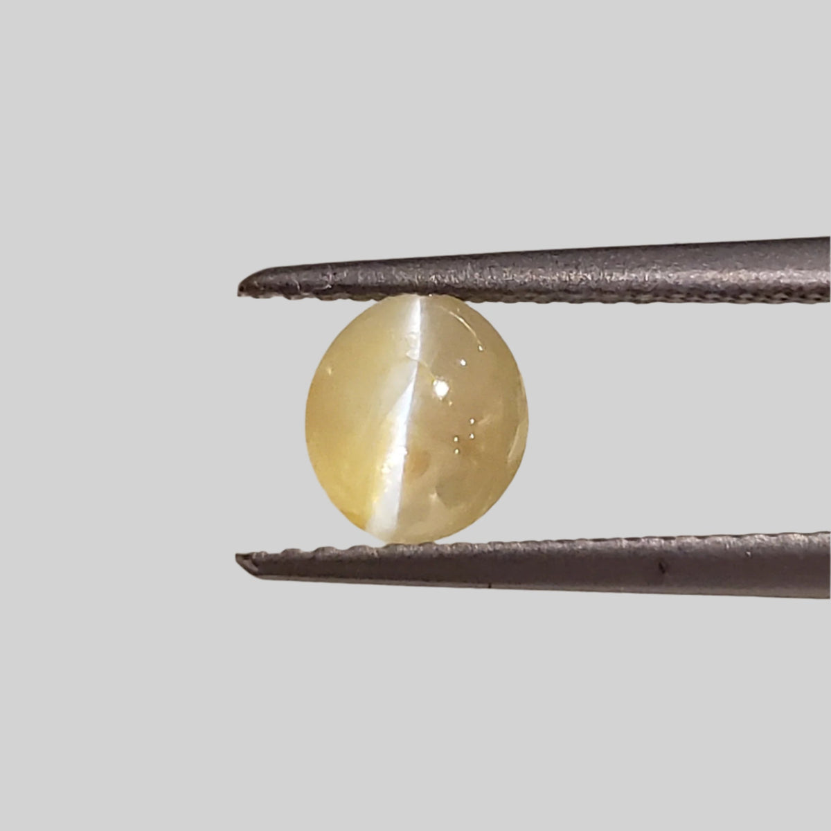  Chrysoberyl Cats Eye | Oval Cabochon | Yellow | 6.5x5.6mm 1.1ct 