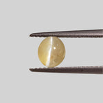  Chrysoberyl Cats Eye | Oval Cabochon | Yellow | 6.5x5.6mm 1.1ct 