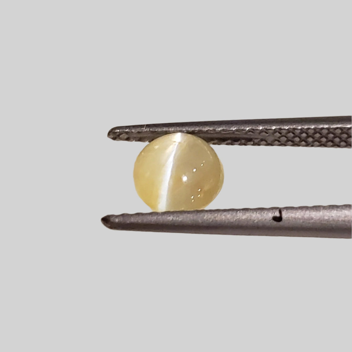  Chrysoberyl Cats Eye | Oval Cabochon | Yellow | 6.5x5.6mm 1.1ct 5