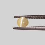  Chrysoberyl Cats Eye | Oval Cabochon | Yellow | 6.5x5.6mm 1.1ct 5