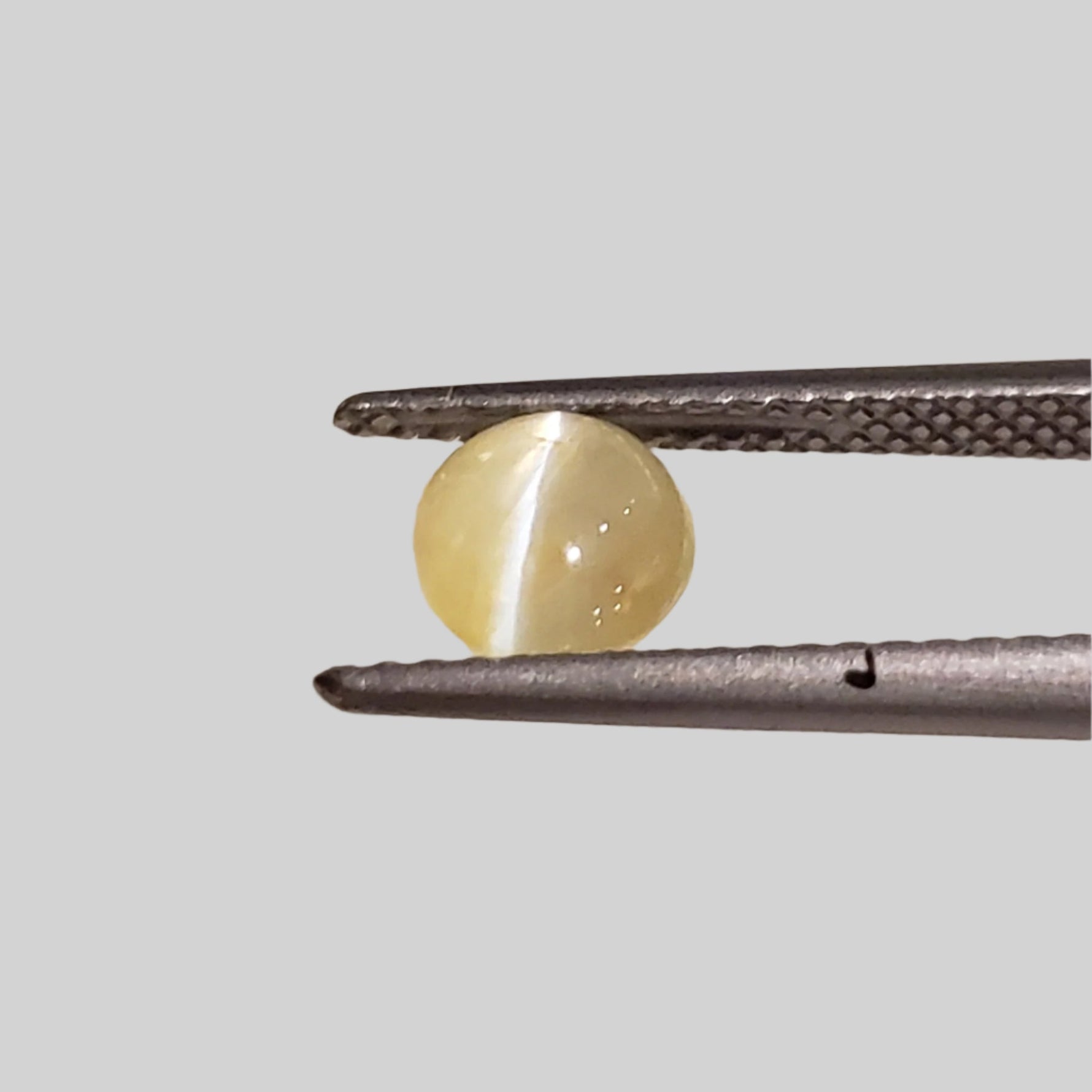  Chrysoberyl Cats Eye | Oval Cabochon | Yellow | 6.5x5.6mm 1.1ct 5