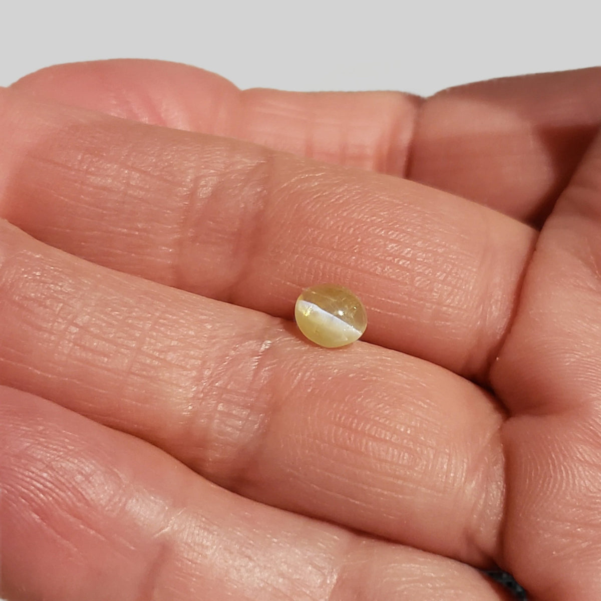  Chrysoberyl Cats Eye | Oval Cabochon | Yellow | 6.5x5.6mm 1.1ct 6