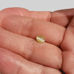  Chrysoberyl Cats Eye | Oval Cabochon | Yellow | 6.5x5.6mm 1.1ct 6