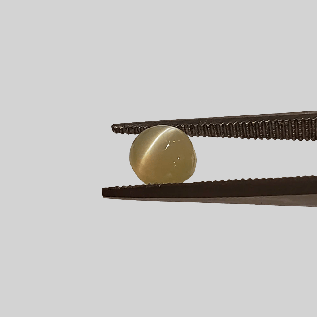  Chrysoberyl Cats Eye | Round Cabochon | Green | 5.5mm 1.1ct 2