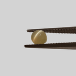  Chrysoberyl Cats Eye | Round Cabochon | Green | 5.5mm 1.1ct 2