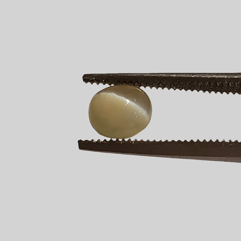  Chrysoberyl Cats Eye | Round Cabochon | Green | 5.5mm 1.1ct 3