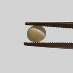  Chrysoberyl Cats Eye | Round Cabochon | Green | 5.5mm 1.1ct 3