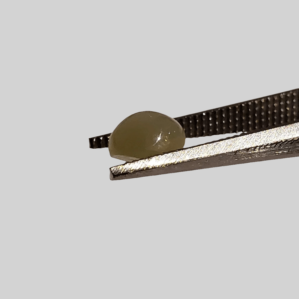  Chrysoberyl Cats Eye | Round Cabochon | Green | 5.5mm 1.1ct 4