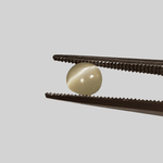  Chrysoberyl Cats Eye | Round Cabochon | Green | 5mm 0.8ct 