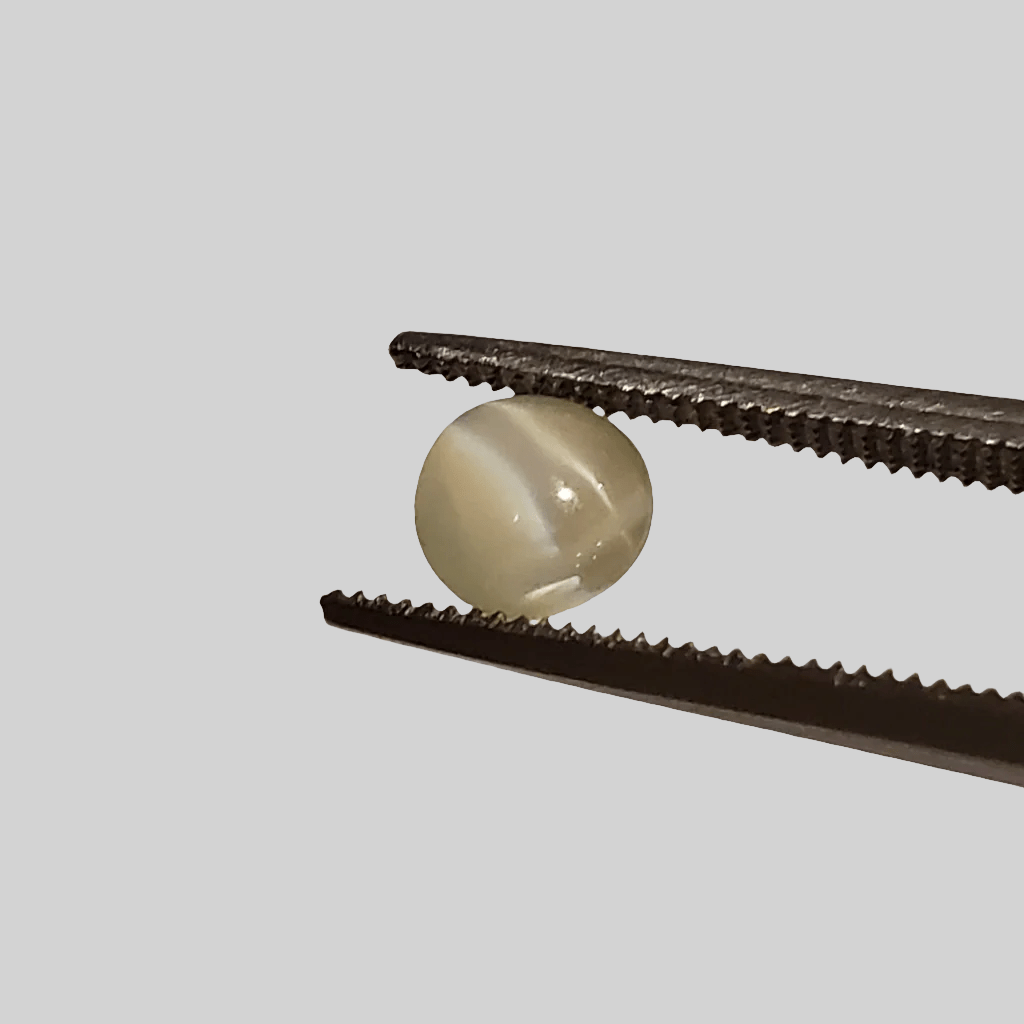  Chrysoberyl Cats Eye | Round Cabochon | Green | 5mm 0.8ct 3