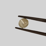  Chrysoberyl Cats Eye | Round Cabochon | Green | 5mm 0.8ct 1