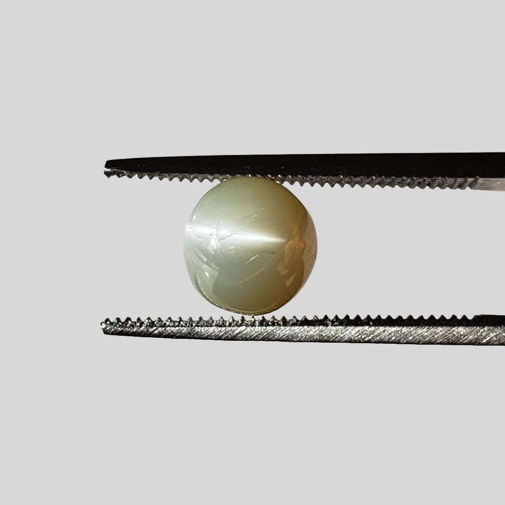  Chrysoberyl Cats Eye | Round Cabochon | Green | 7mm | SO24 