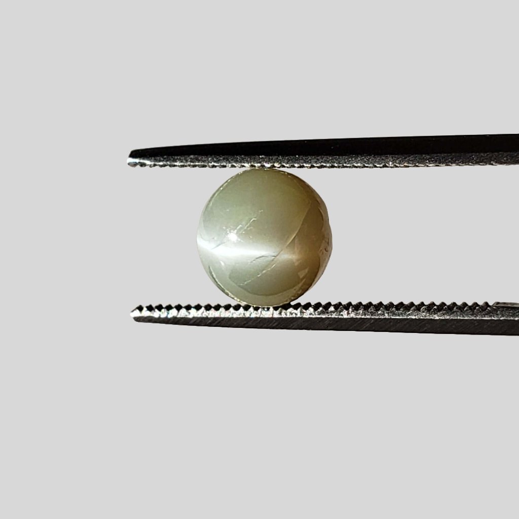  Chrysoberyl Cats Eye | Round Cabochon | Green | 7mm | SO24 1