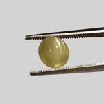  Chrysoberyl Cats Eye | Round Cabochon | Lime Green | 7.0mm 2.2ct 1