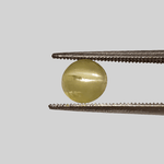  Chrysoberyl Cats Eye | Round Cabochon | Lime Green | 7.0mm 2.2ct 3