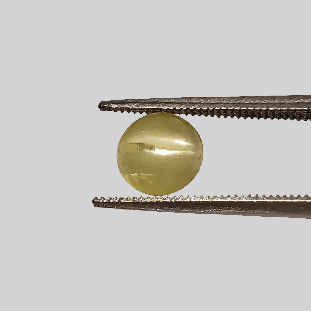  Chrysoberyl Cats Eye | Round Cabochon | Lime Green | 7.0mm 2.2ct 3