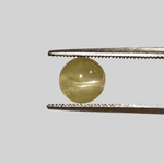  Chrysoberyl Cats Eye | Round Cabochon | Lime Green | 7.0mm 2.2ct 5