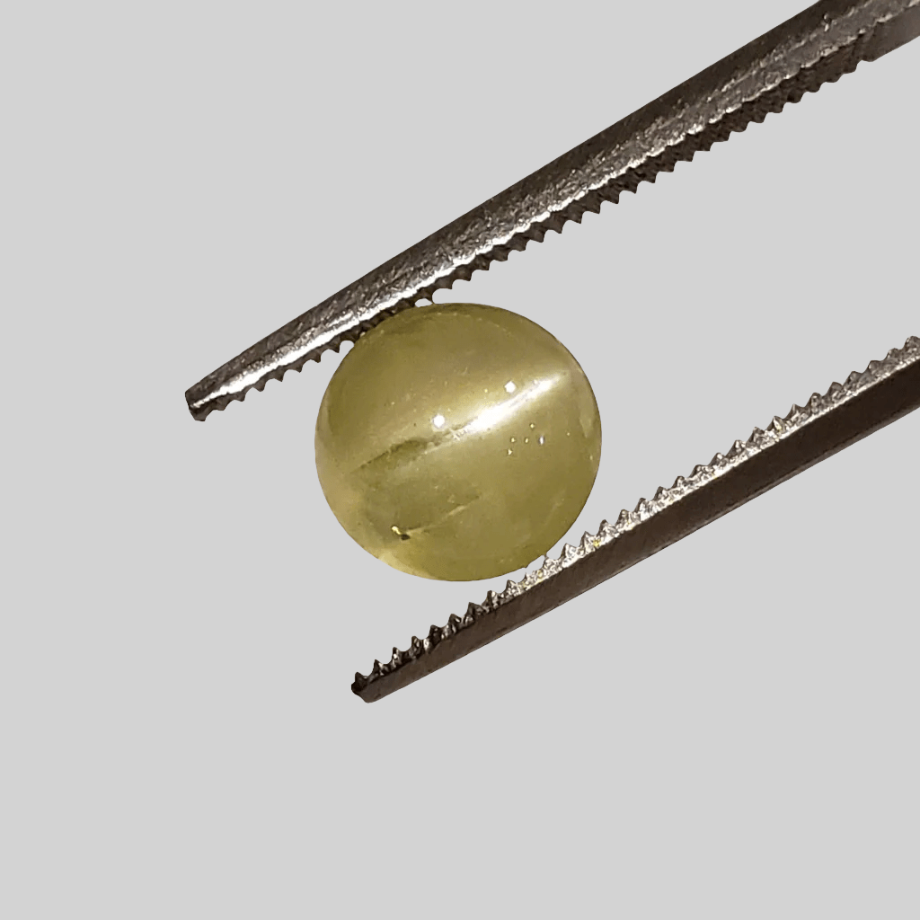  Chrysoberyl Cats Eye | Round Cabochon | Lime Green | 7.0mm 2.2ct 6