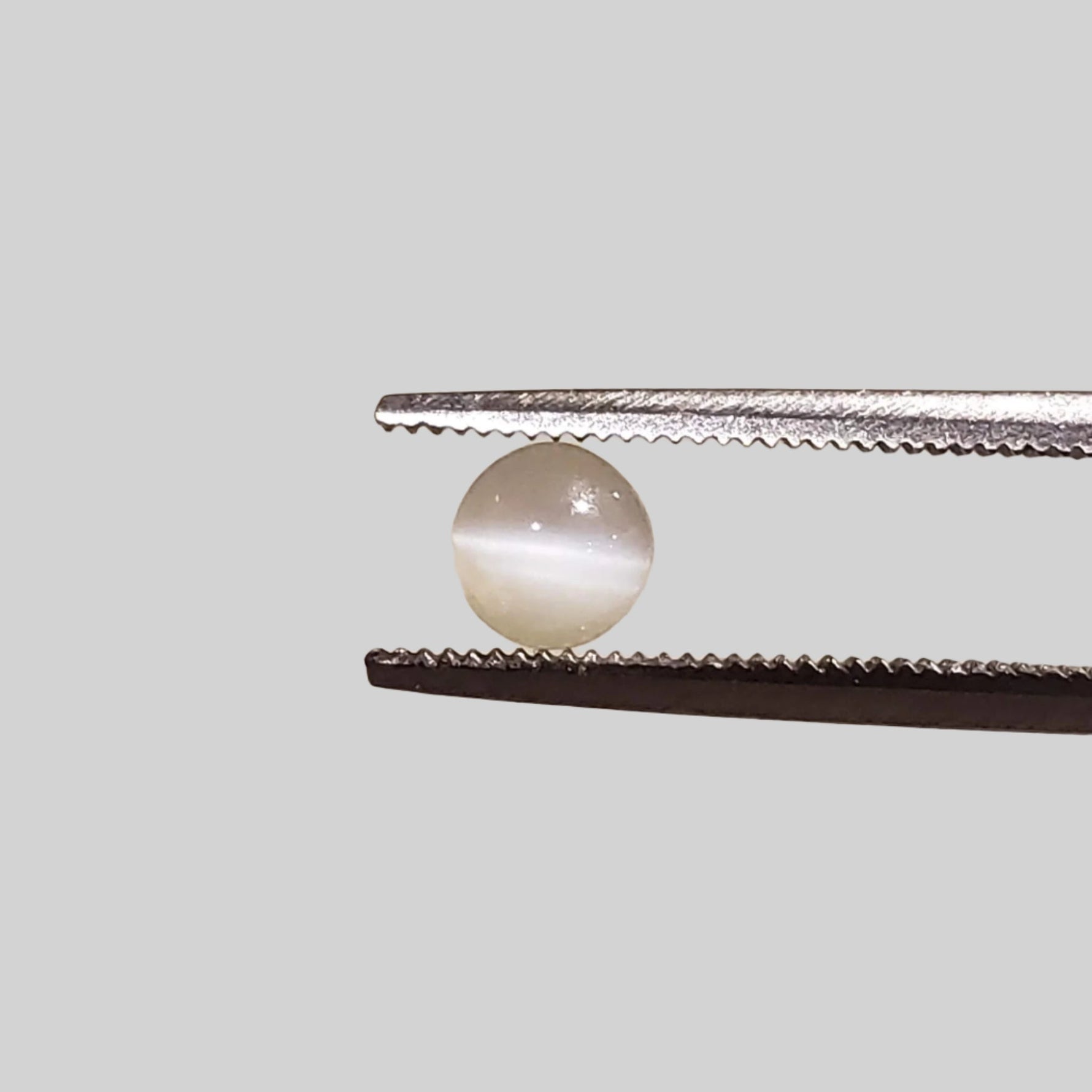  Chrysoberyl Cats Eye | Round Cabochon | Yellow | 4.5mm 0.5ct 