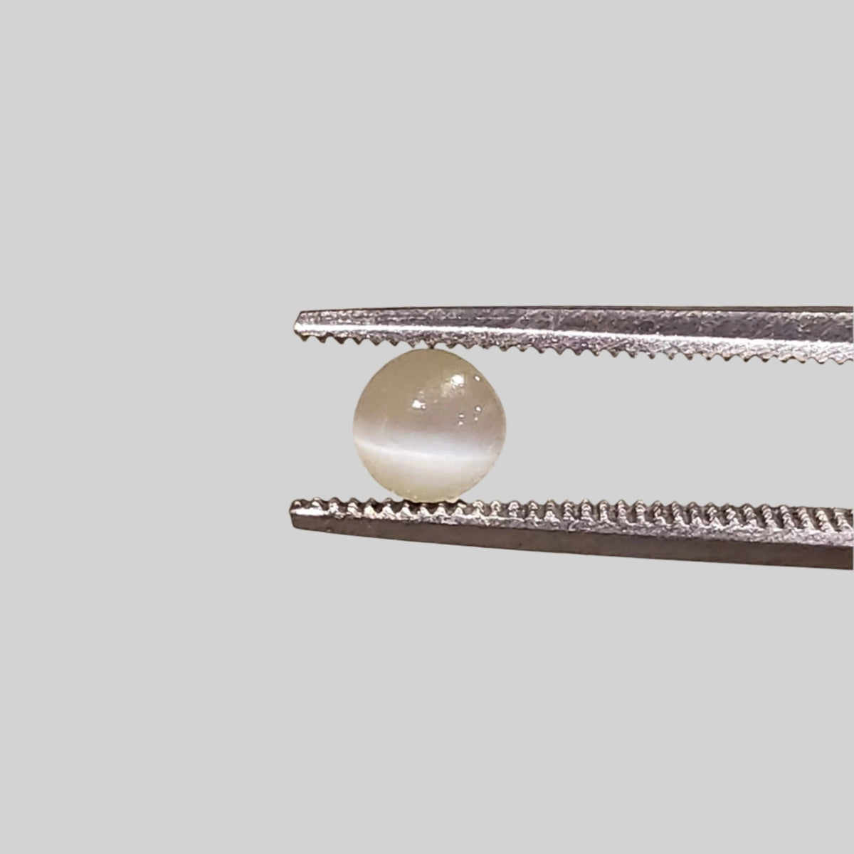  Chrysoberyl Cats Eye | Round Cabochon | Yellow | 4.5mm 0.5ct 2