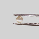  Chrysoberyl Cats Eye | Round Cabochon | Yellow | 4.5mm 0.5ct 2