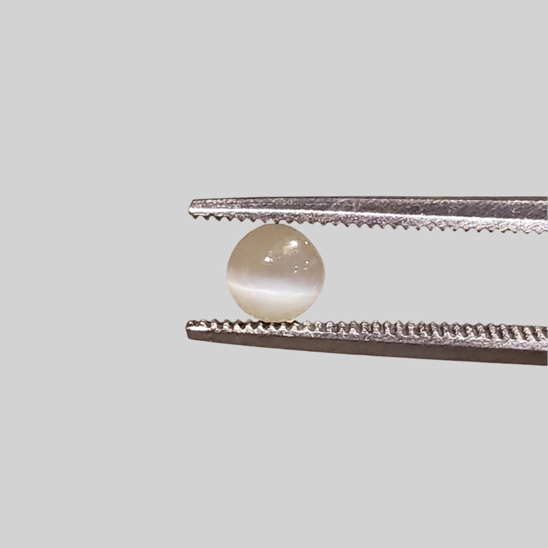  Chrysoberyl Cats Eye | Round Cabochon | Yellow | 4.5mm 0.5ct 2