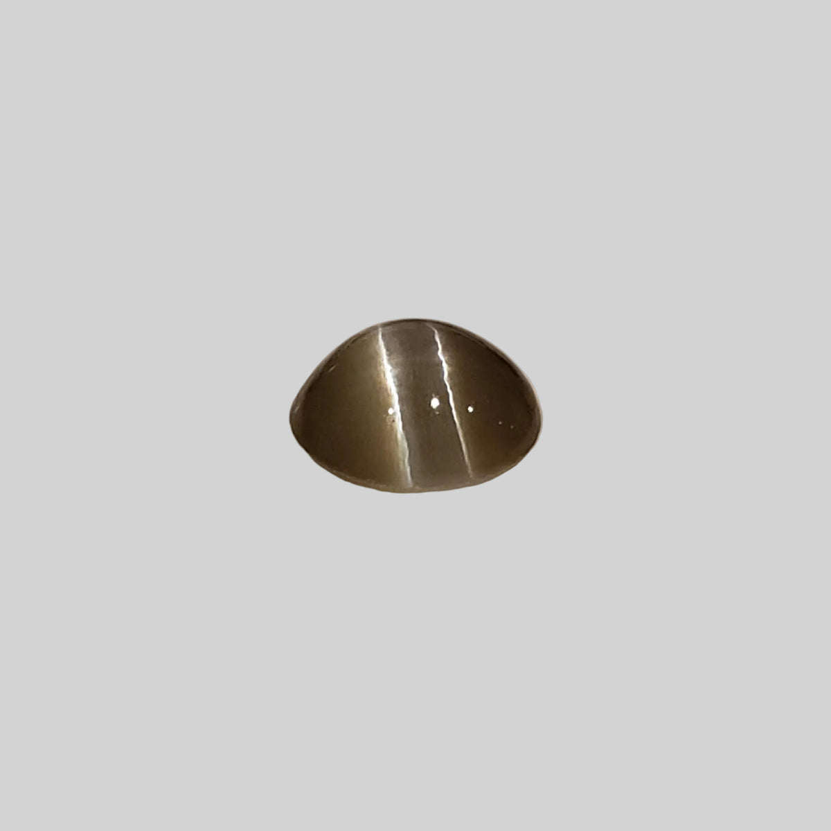  Chrysoberyl Cats Eye | Round Cabochon | Yellow | 6.5mm 1.1ct 6