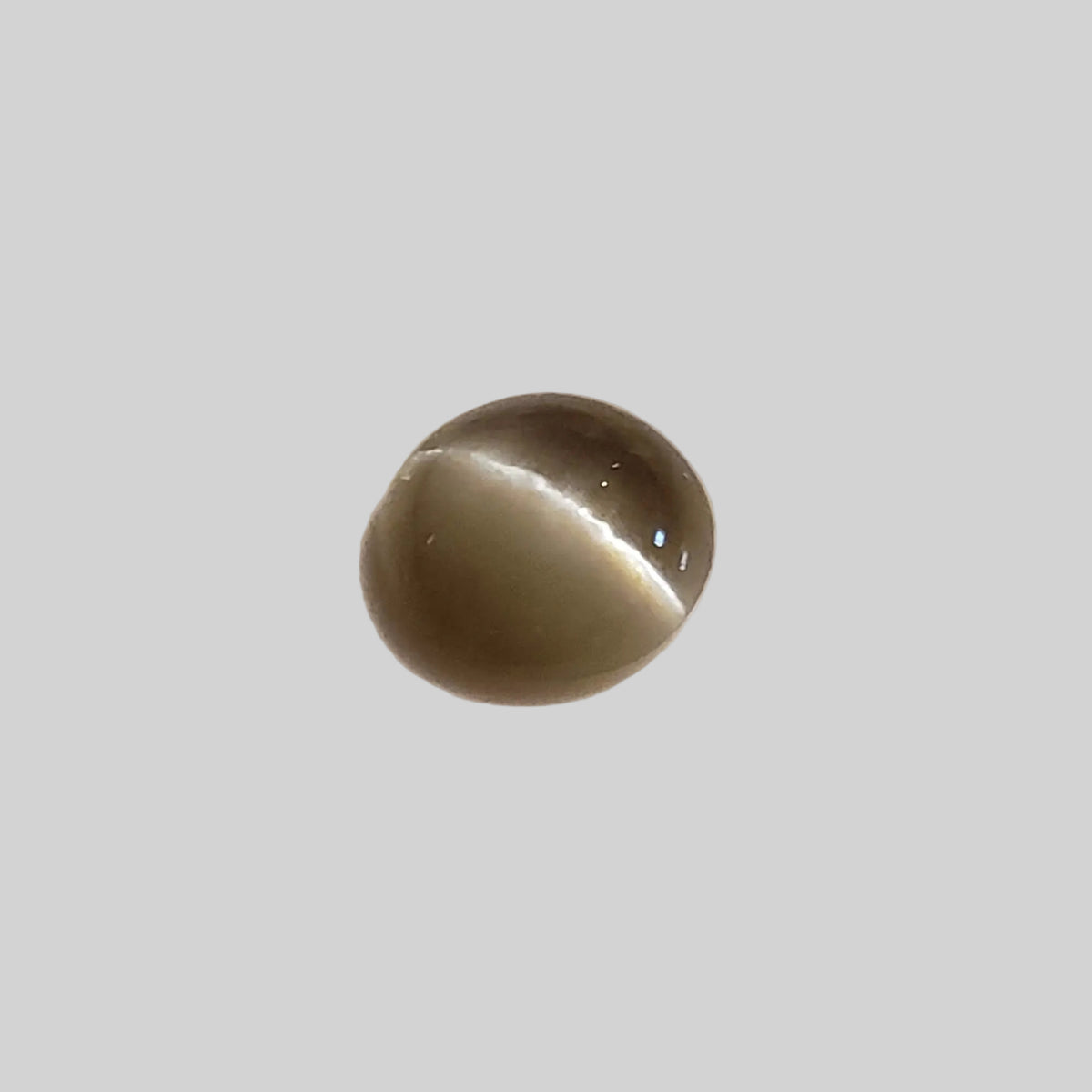  Chrysoberyl Cats Eye | Round Cabochon | Yellow | 6.5mm 1.1ct 7