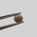  Chrysoberyl Cats Eye | Round Cabochon | Yellow | 6.5mm 1.1ct 3