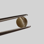 Chrysoberyl Cats Eye | Round Cabochon | Yellow | 6.5mm 1.1ct 1