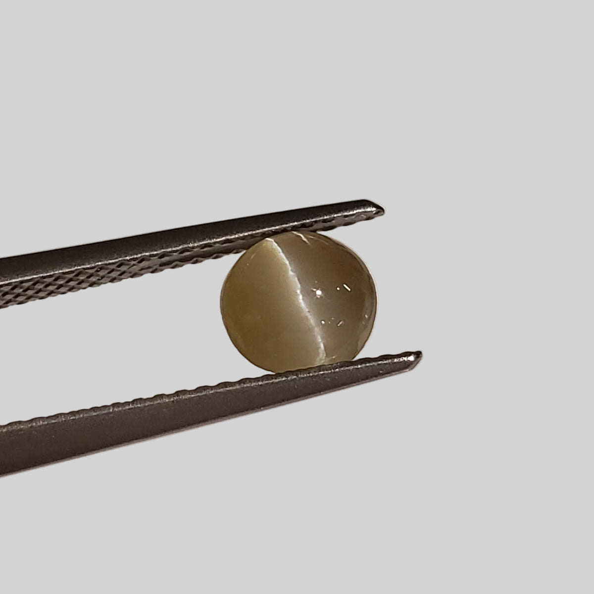  Chrysoberyl Cats Eye | Round Cabochon | Yellow | 6.5mm 1.1ct 4