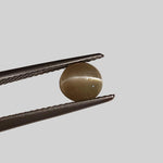  Chrysoberyl Cats Eye | Round Cabochon | Yellow | 6.5mm 1.1ct 2