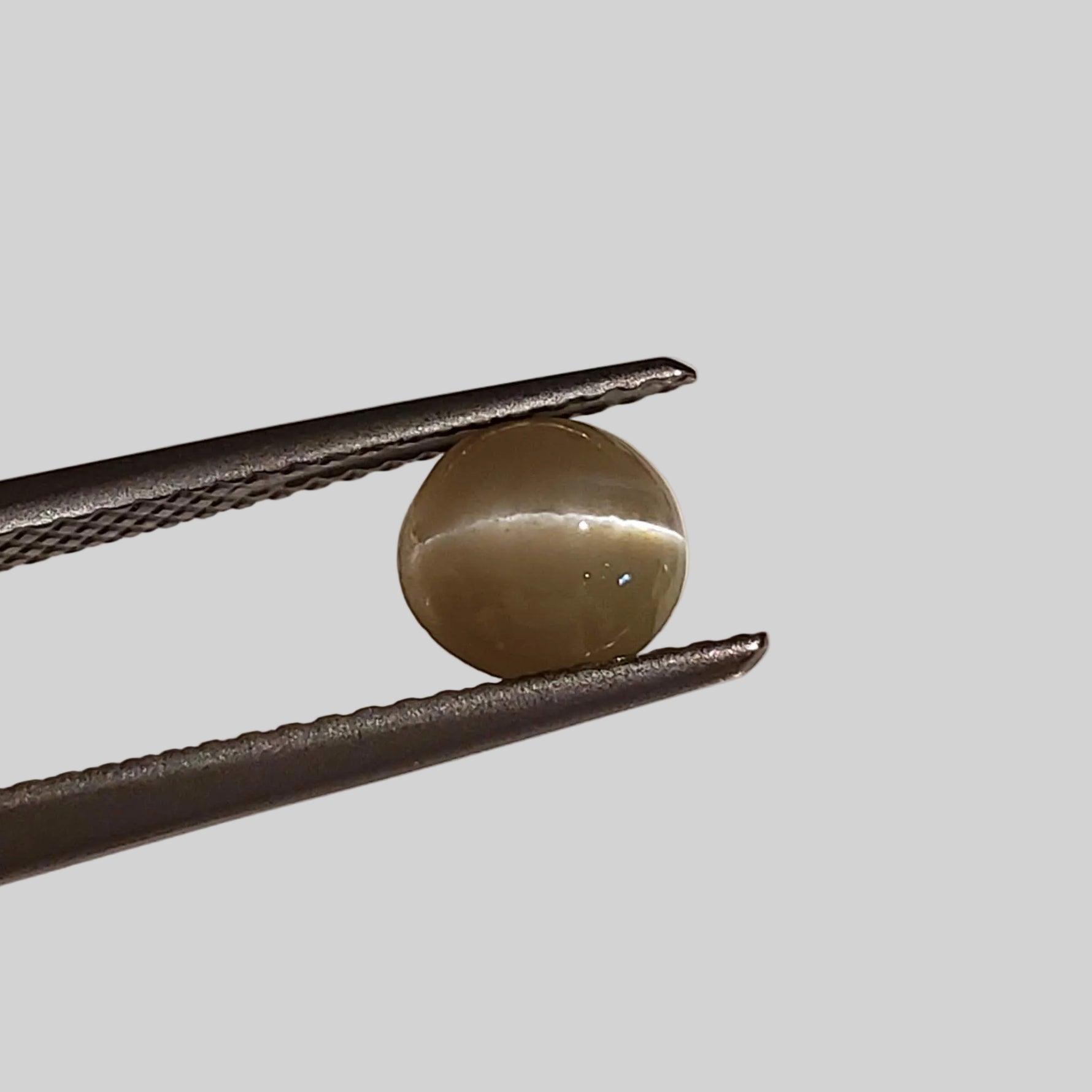  Chrysoberyl Cats Eye | Round Cabochon | Yellow | 6.5mm 1.1ct 2