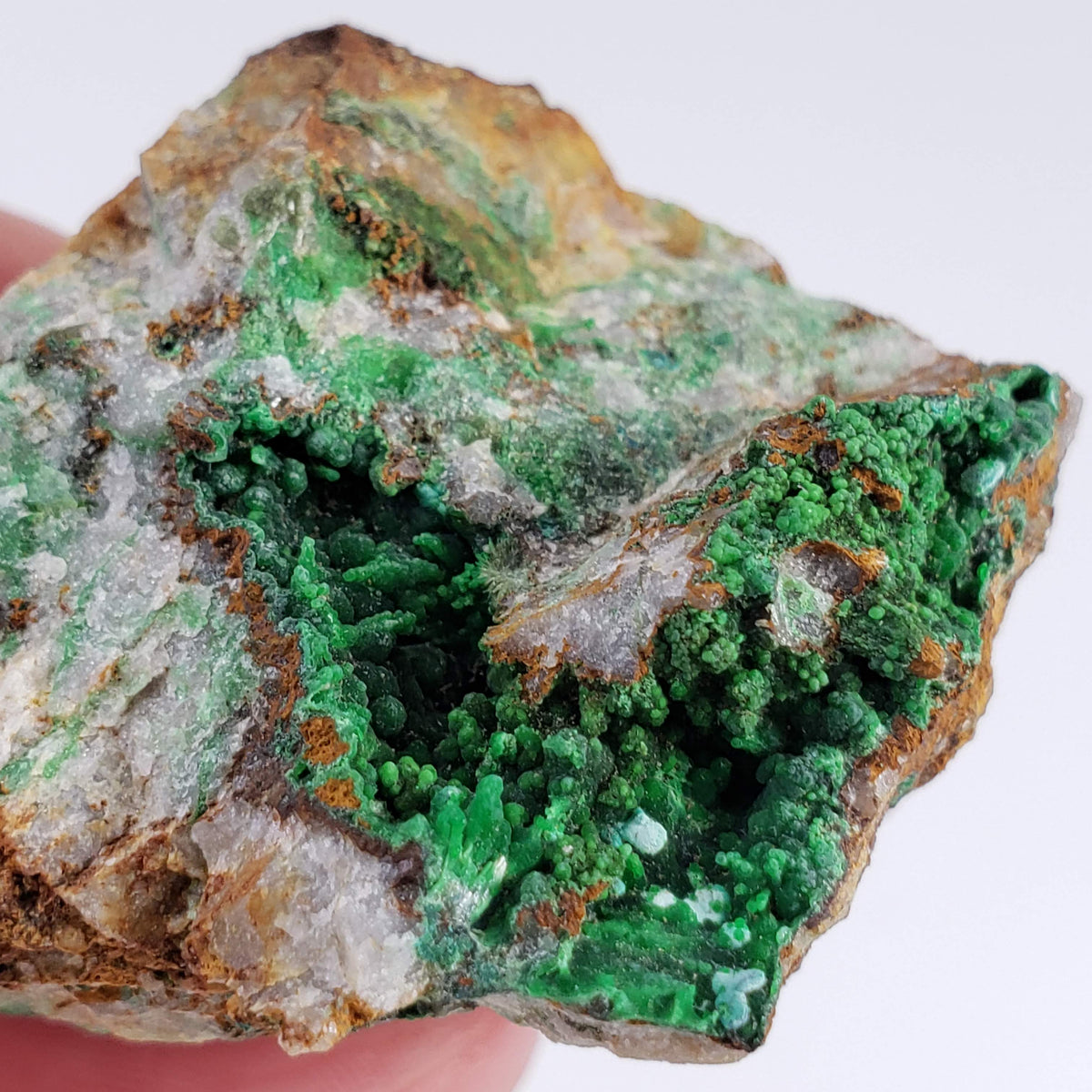  Conichalcite | 34 Grams | Gold Hill Mine, Tooele Co. | Utah, USA 4