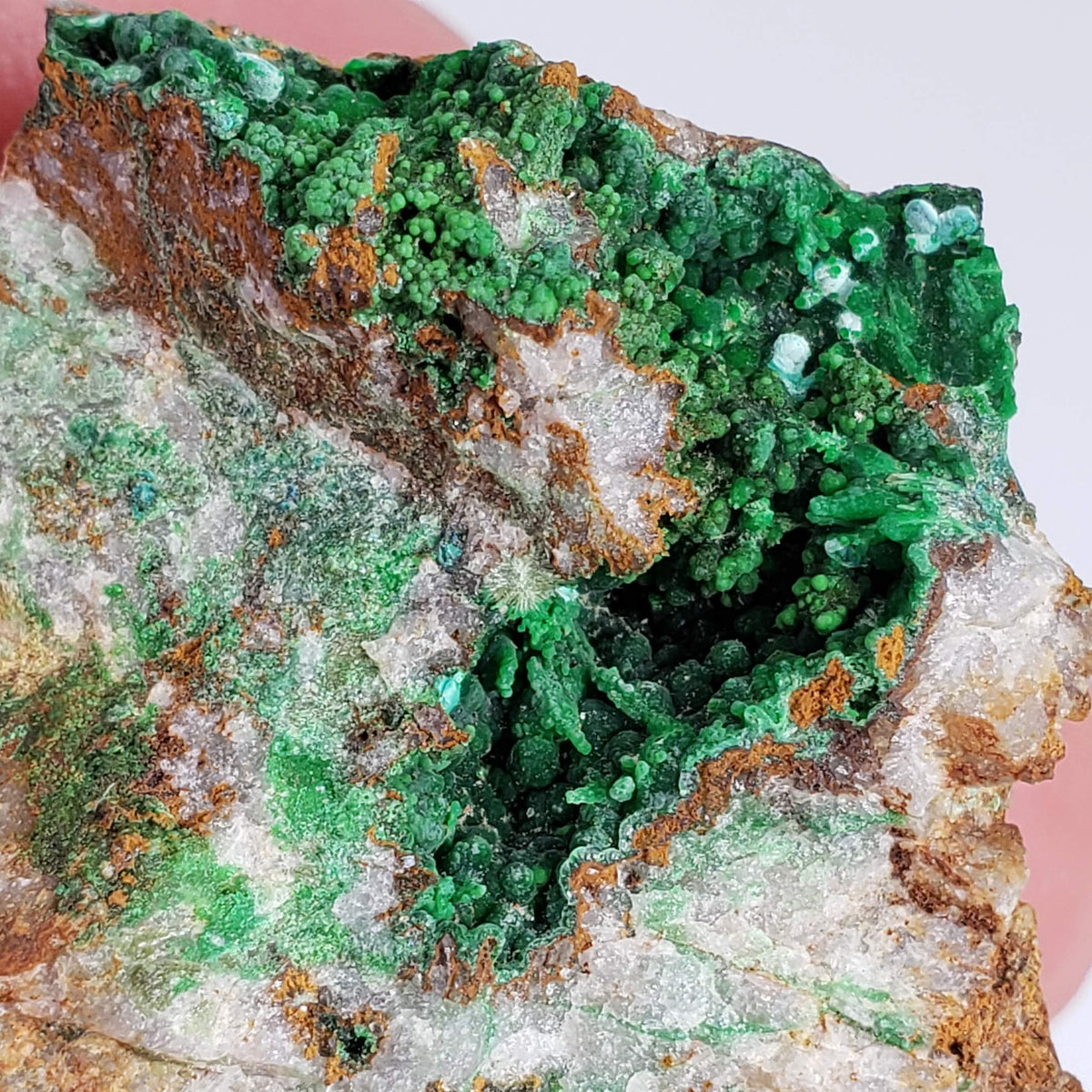  Conichalcite | 34 Grams | Gold Hill Mine, Tooele Co. | Utah, USA 3