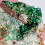  Conichalcite | 34 Grams | Gold Hill Mine, Tooele Co. | Utah, USA 3