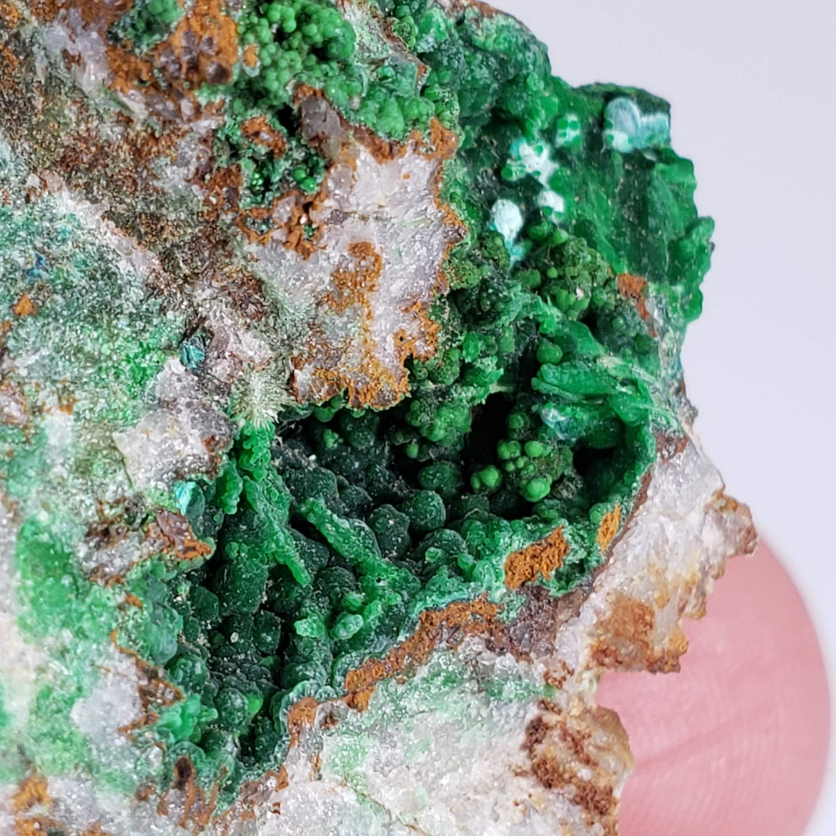  Conichalcite | 34 Grams | Gold Hill Mine, Tooele Co. | Utah, USA 5