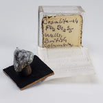 Cosalite crystals | Rare Old Collection Specimen | Thumbnail specimen | Wells, British Columbia, Canada-canagem-6