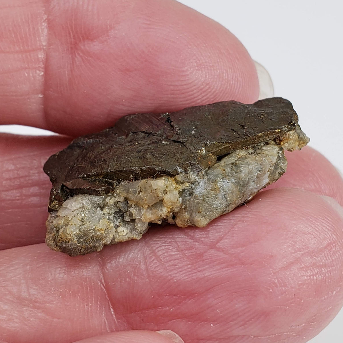  Cubanite Crystal | Large 6.27 grams | Closed Henderson No. 2 Mine | Chibougamou, Québec, Canada 7