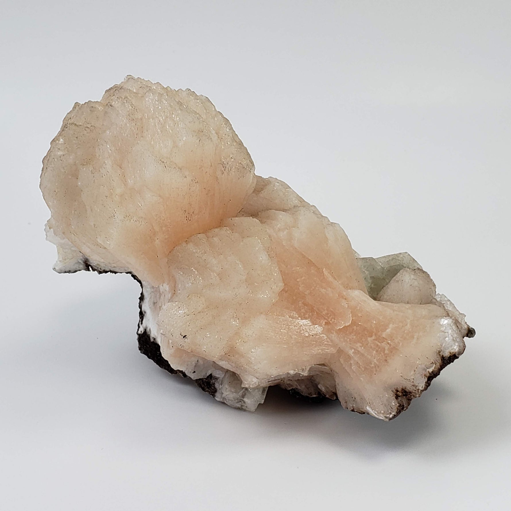  Cubic Green Apophyllite on Pink Stilbite with Scolecite Spray | 812 gr | Crystal | Nasik, India 3