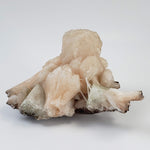  Cubic Green Apophyllite on Pink Stilbite with Scolecite Spray | 812 gr | Crystal | Nasik, India 