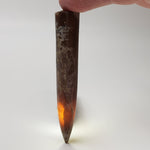  Cylindroteuthis Belemnites Mikhailov | Ryazan Region, Russia 3