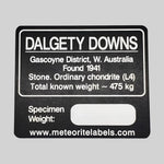  Dalgety Downs Meteorite | Flat Metal Label 