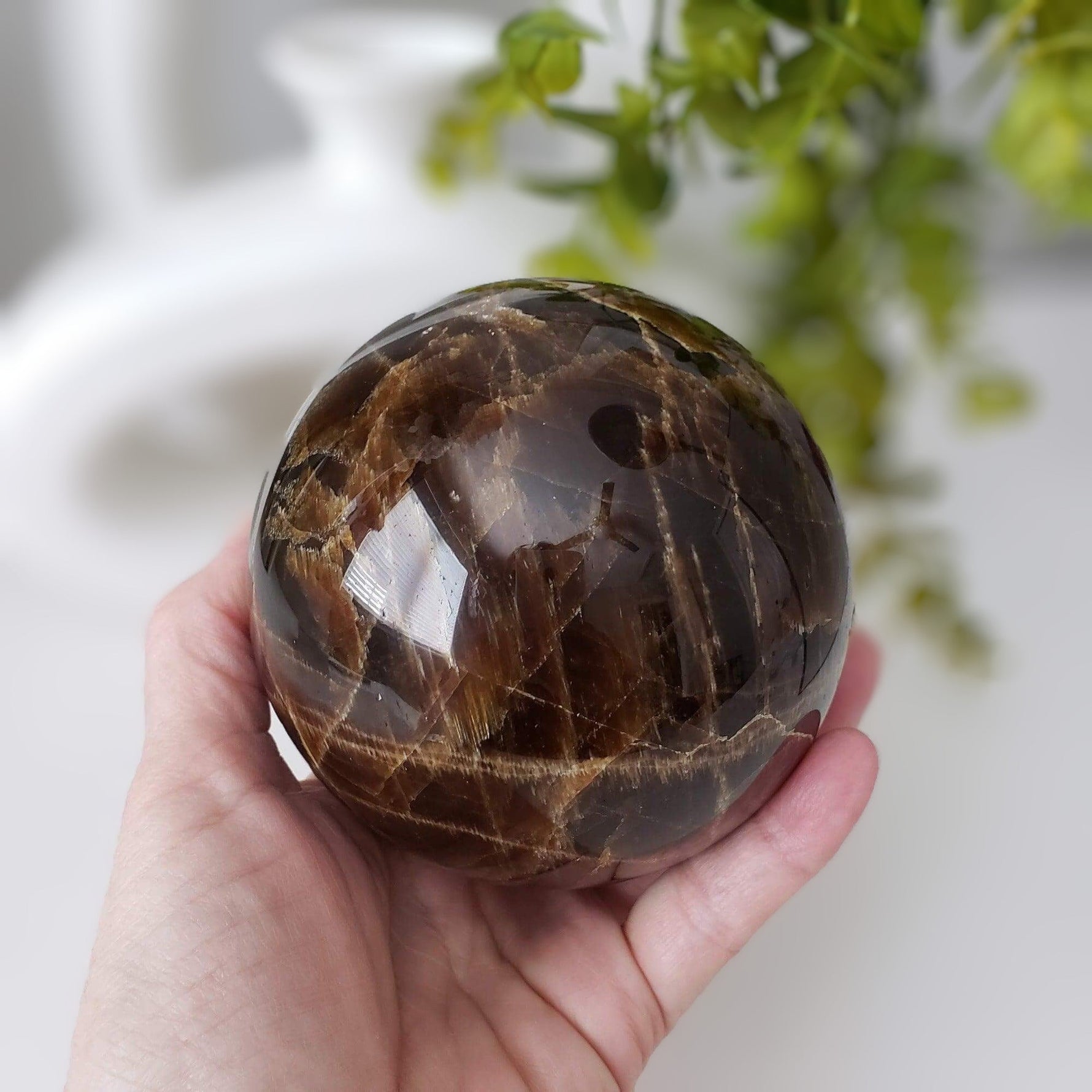  Dark Brown Aragonite Sphere | 104 mm, 4.1 in | 1.71 kg 
