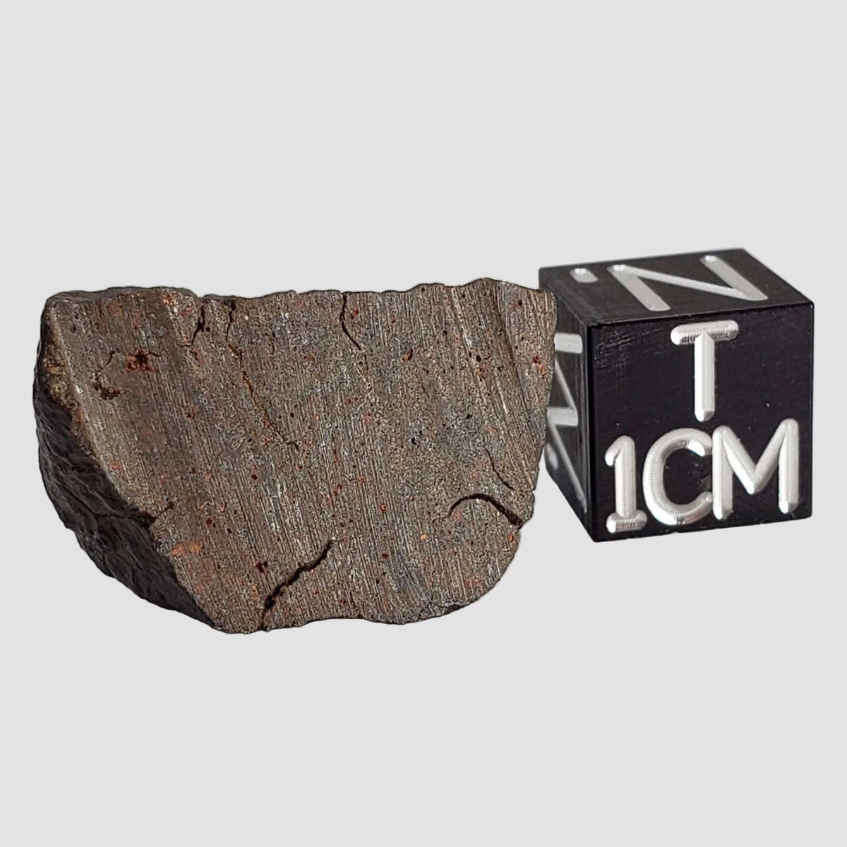  Dhofar 1299 Meteorite | 7.37 Grams | Main Mass End Cut | H6 Chondrite | Oman 