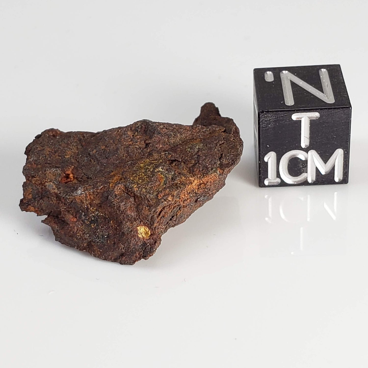  Dhofar 200 Meteorite | 4.8 Grams | Individual | Rare H4 Chondrite | Oman 