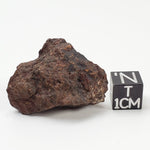  Dhofar 221 Meteorite | 15.38 Grams | Individual | L5 Shocked Chondrite | Sahara 