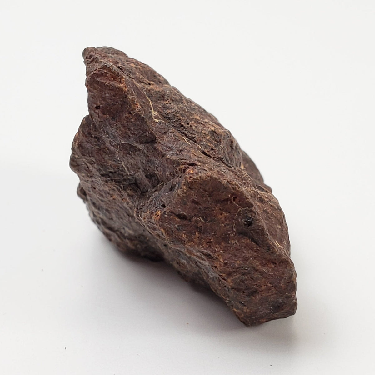  Dhofar 221 Meteorite | 15.38 Grams | Individual | L5 Shocked Chondrite | Sahara 3