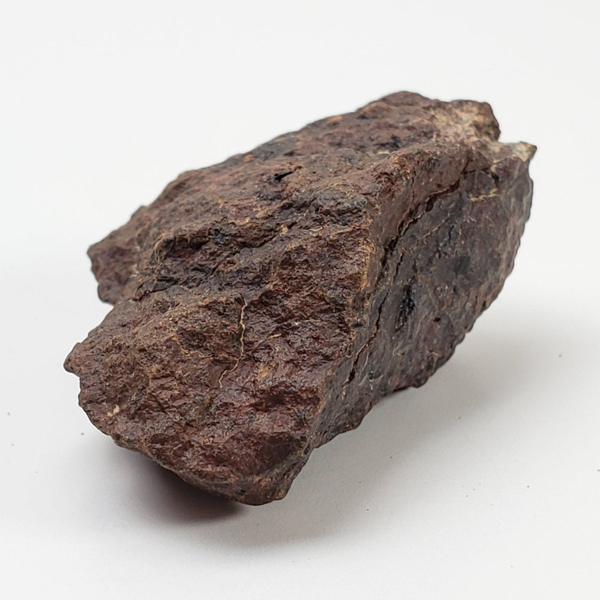  Dhofar 221 Meteorite | 15.38 Grams | Individual | L5 Shocked Chondrite | Sahara 4
