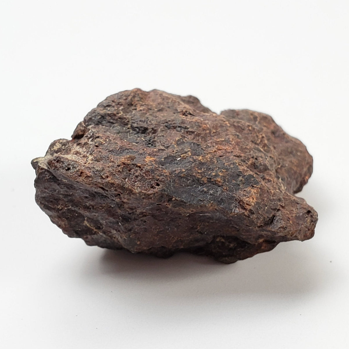  Dhofar 221 Meteorite | 15.38 Grams | Individual | L5 Shocked Chondrite | Sahara 5